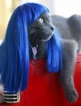blue.JPG