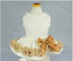 party dress.PNG