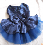 party dress2.PNG