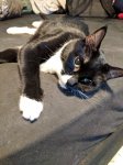 IMG_20180114_214732.jpg