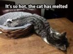 Melted.jpg