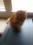 20180126_135254.jpg