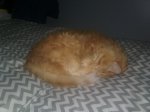 20180128_004923.jpg