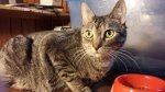 IMG-20170906-WA0002.jpg