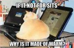 sits.jpg