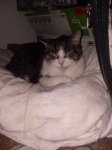 20180309_165126.jpg