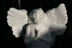 angel3.jpg