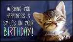 bday kitty.jpg