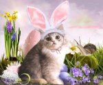 81435-Easter-Bunny-Kitty.jpg