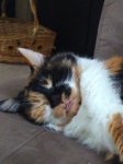 IMG_20180415_132208640.jpg