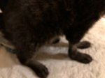 CD0EE3D4-C0BB-49D3-A37D-19175B6F8888.jpeg