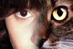 human_cat_by_kamy_hale.jpg