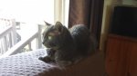 20180507_172251.jpg