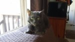 20180507_172145.jpg