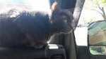 20180510_165124.jpg