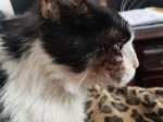 20180421_131039.jpg