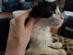 20180510_124747.jpg