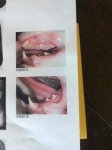 xrays 1.jpg