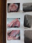 xrays 2.jpg
