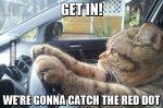 get-in-we-are-gonna-catch-the-red-dot.jpg