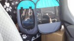 20180516_162834.jpg