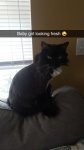Snapchat-929814905.jpg