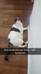 Snapchat-1063675408.jpg