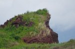 DSC03527.JPG
