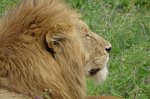 DSC03663.JPG