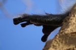 DSC04404.JPG