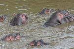 DSC04684.JPG
