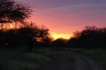 DSC04806.JPG