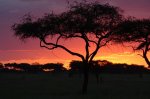 DSC04808.JPG