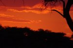 DSC04810.JPG