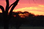 DSC04812.JPG