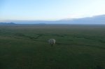 DSC04883.JPG