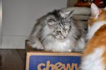 DSC_3120.JPG
