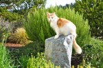DSC_0170.JPG