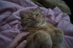 DSC00920.JPG