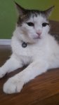 20180619_081223.jpg
