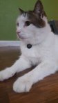 20180619_081227.jpg