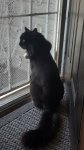20180619_081241.jpg
