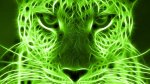 CBE7EE07-80A9-4823-A60E-E3B239F5C443.jpeg