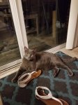 20180720_224241.jpg