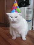 1BE85EBE-3493-474C-A715-13F73D10723D.jpeg