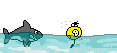 7BAAC86C-B30D-4ABB-A5B2-879452DA57E1.gif