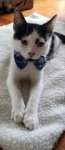 20180811_123141.jpg