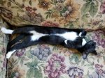 20180830_122843.jpg