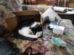 20180816_155213.jpg