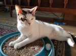 20180831_083510.jpg
